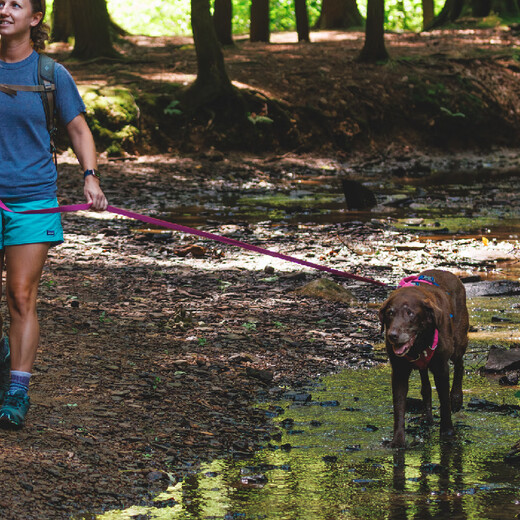 Ruff Wilvergland dog leash large dog ruffwear Golden Retriever Shiba Inu Teddy pet dog leash dog chain p chain Zhaoxia powder