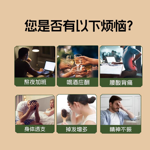 加邮邮政农品人参枸杞桑葚桂圆茶红黑枸杞养生补六宝茶气美容120g*3盒