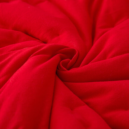 Newborn Baijia Quilt Finished Baby Handmade Pure Cotton Quilt Baby Cuddle Quilt Children's Autumn and Winter Thick Cover Blanket Summer Gong Xi Fa Cai (Removable Autumn and Winter Quilt) 100*100cm