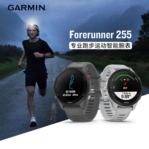 GARMIN Forerunner255 Professional Running Outdoor Sports Smart Watch Multi-Star Positioning Heart Rate Blood Oxygen Mysterious Gray