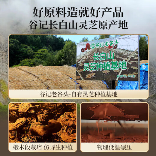 Laogutou Broken Wall Ganoderma lucidum spore powder Changbaishan Paozi Powder Capsule Enhance Immunity Health Gift Box Buy 1 Box Get 1 Bottle of Spore Powder Capsule
