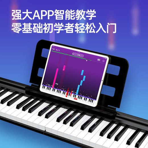 Terence electronic piano 88 key folding piano for adults and children beginners electric steel keyboard teaching instrument V10 home piano elegant black + original piano bag