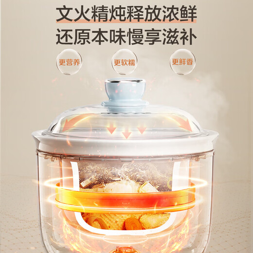 SUPOR electric stew pot, electric stew pot, soup pot, stew pot, bird's nest stew pot, porridge cooking tool, baby food pot, electric cooking pot, electric soup pot DG10YC883 multi-function pot