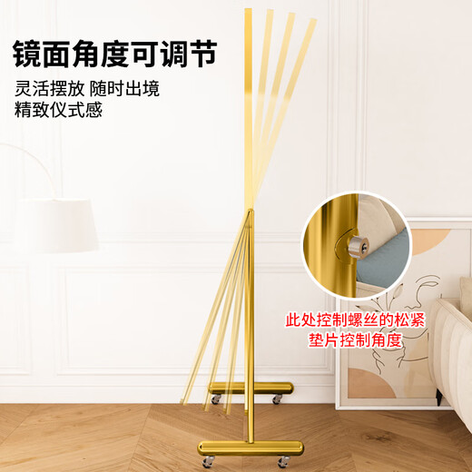 悠若琦穿衣镜舞蹈镜可移动不锈钢全身落地镜服装店试衣镜衣帽间网红镜子 拱形165*45 超白高清 正常成像