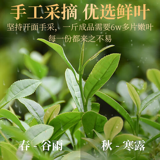 传奇会乌龙茶 安溪铁观音 清香型特级500g轻火礼盒装兰花香茶叶送礼礼品