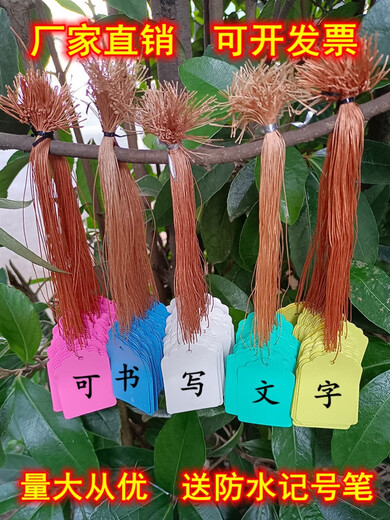 奔新农果树木植物吊牌带绳园艺标签牌防水塑料标记牌多肉吊签牌花卉挂牌 5×3.5白色100张