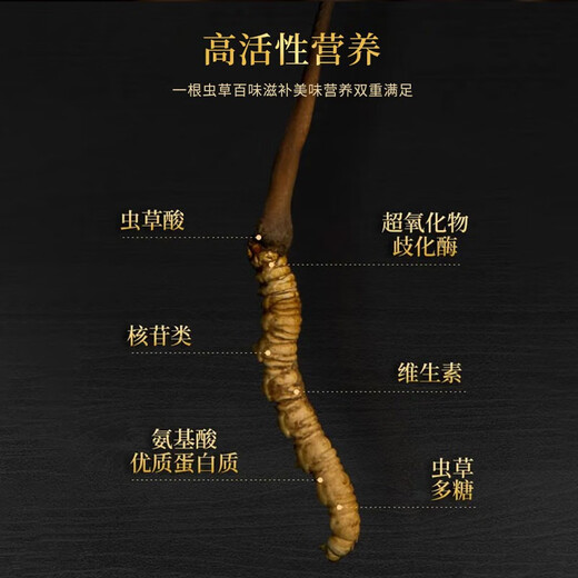 雄风道藏区雪域冬虫夏草4根/克（规格）正宗虫草高海拔 送礼佳品 4根/克(规格) 40根礼盒装