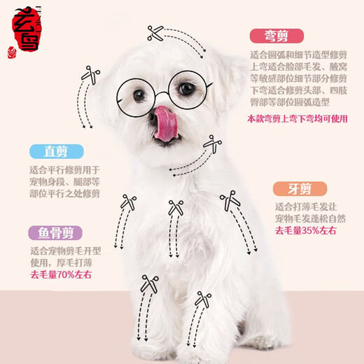 Black Bird Pet Scissors Dog Grooming Shearing Scissors Small Dog Teddy Haircut Straight Scissors Curved Scissors Fishbone Scissors Trimming Hair Upgraded Black Gold (Straight + Curved)