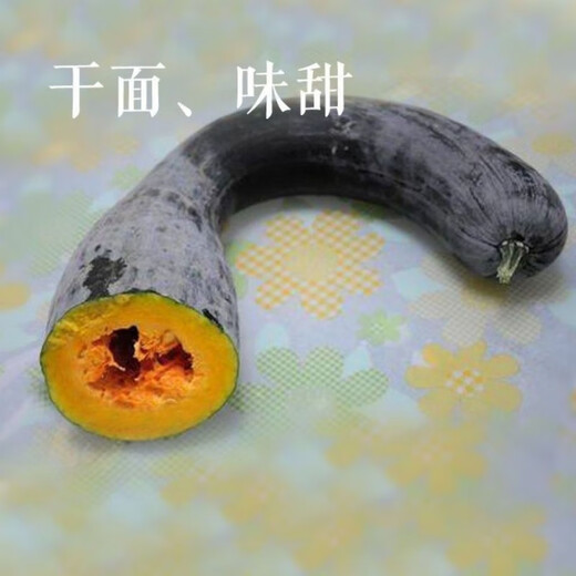 Pumpkin King Seeds Super Sweet Big Hanging Melon Black Wolf Long Pumpkin Stable Yield of Vegetables Four Seasons Spring Garden Vegetable Seeds Pumpkin King Seeds Original 2 Packs About 50 Tablets