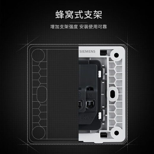 西门子（SIEMENS）开关插座面板 五孔强电10A墙面86型插座面板 致典系列银灰色 五孔带单控开关