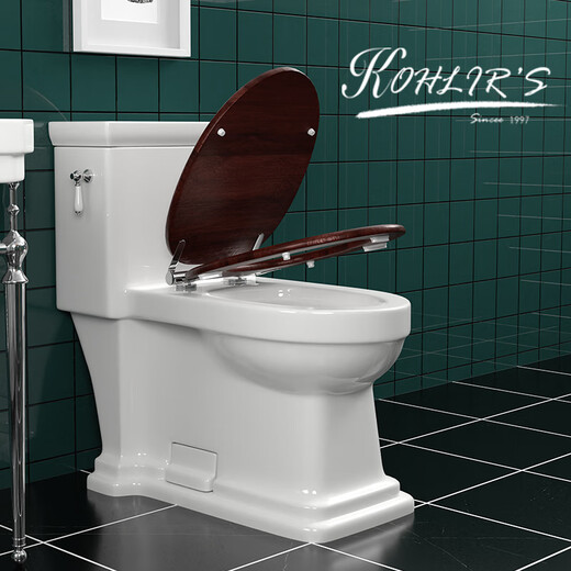 European retro toilet home bathroom flush rainbow style personalized creative American classical toilet Type A (solid wood cover) 400mm