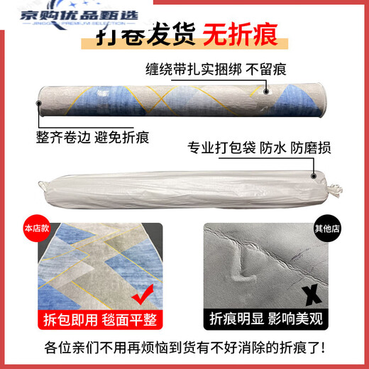浙江杭州客厅茶几毯沙发大面积家用简约轻奢卧室床边毯北欧ins的 BO679 180x250cm