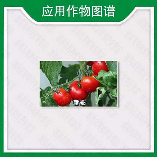 Guoguang Buluo Fangsu 24 2,4-D Sodium Plant Growth Regulator 2.4-d Tomato Flowering and Fruiting 1g*3000 Bags Full Box