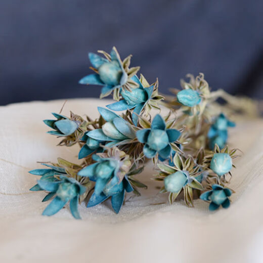 AIMAN Yunnan dried flower bouquet natural real flowers octagonal flower magnolia flower small lily living room decoration soft furnishing matching yellow (1 bouquet of 30 flowers free of charge)