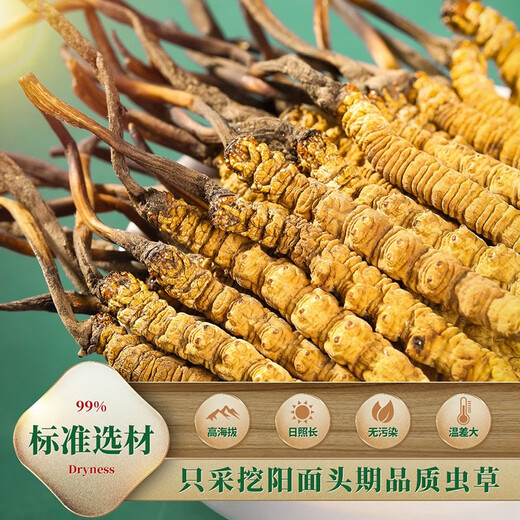
Shengdikangzang [Festive Gift] Wild Cordyceps sinensis in Nagqu Nagqu Nagqu High-altitude Cordyceps Selected Gift Box 3 pieces/gram 20 grams