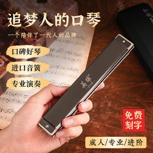 英雄进口音簧24孔单音铜格口琴单排单孔C调专业演奏高级成人初学乐器 单孔单音24孔G调【树脂琴格】