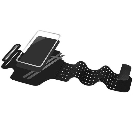 Raf core running mobile phone arm bag outdoor arm bag men and women universal arm strap sports arm cover waterproof touch screen wrist bag (standard style) obsidian black large size