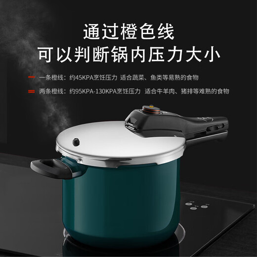 WMF German imported kitchenware non-stick pot pressure cooker pressure cooker Naicaimi RDS6.5L blue housewarming kitchen good things