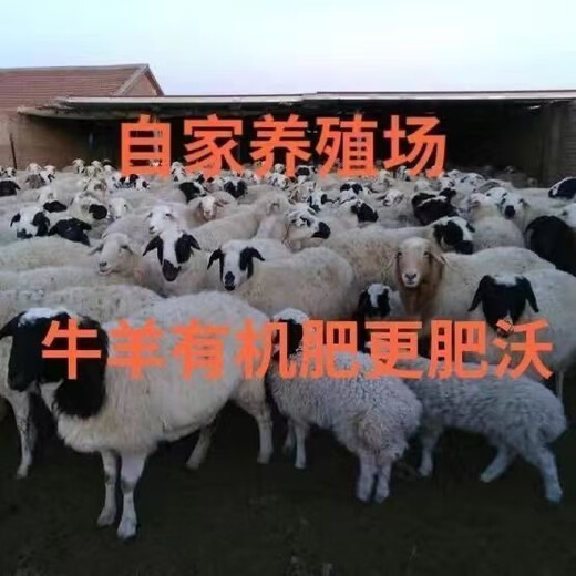 40 Jin Jin is equal to 0.5 kg. Pure sheep manure organic fertilizer for growing vegetables and flowers. Universal fermented chicken manure orchard nutrient soil. 19.9 Jin Jin is equal to 0.5 kg. No root burning, no insects and no smell. Inner Mongolia fermented pure sheep manure. 99 items left in the event.