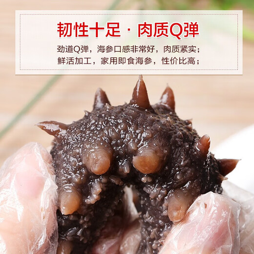 Dongshang Yupin ready-to-eat sea cucumber 1 Jin Jin is equal to 0.5 kg sea cucumber domestic solids 75% fresh 6-9 pieces - straight from the source