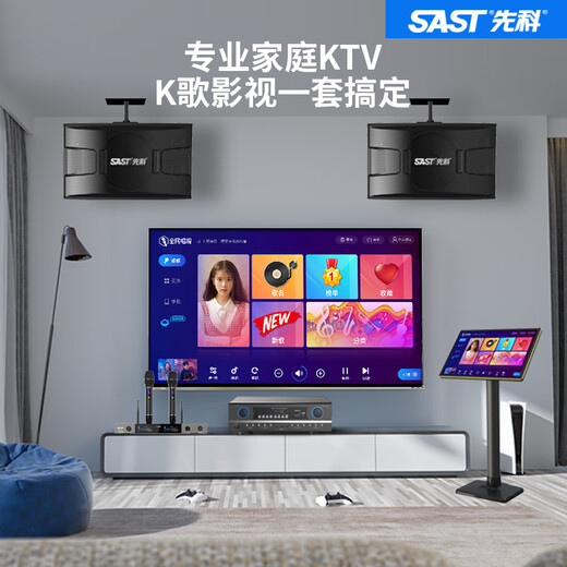 先科家庭ktv音响套装点歌机卡拉ok点唱一体机全套会议室家用家庭影院K歌全套电视客厅专业唱歌组合音箱 10寸音响10单元+功放+充电话筒+2T点歌机