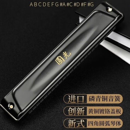 国光口琴套装7支12特别调#ABCDEFG调复音重音24孔专业演奏级成人 24孔 亮光黑12调套装 +全套赠品