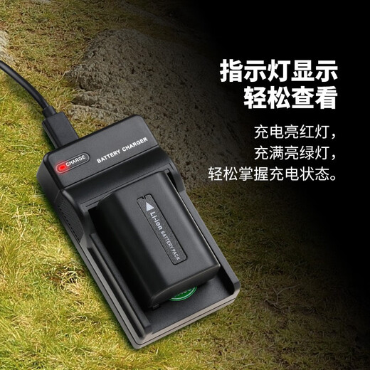 沣标（FB）索尼手持DV摄像机锂电池适用AX700/60/45/30 CX680/610 PJ675座充充电器 锂电池充电器（单槽充）