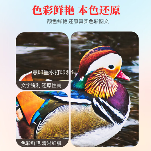 意印适用爱普生T674墨水L801墨水L1800 L850彩色墨水810黑色墨水805打印机补充墨水 T6741 黑色墨水70ml【5支装】