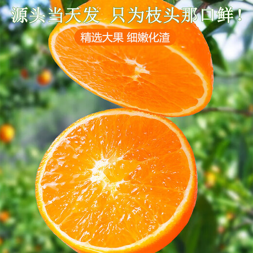 京地达江西赣南脐橙子新鲜水果节日送礼净重9斤单果230g+源头直发包邮