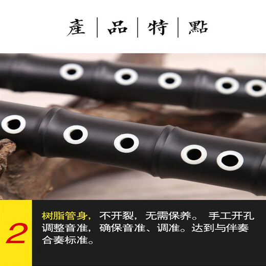 BAWU Musikinstrument vertikales Blasen und Spielen für Grundschüler mit Hochvolumen -G/F -Melodien, Einzelwindinstrument -Anpassung Modell G Tune + Bag + Fingertisch + Einführungsunterrichtsbuch