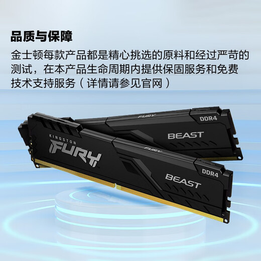 Kingston FURY 32GB (16G2) Set DDR4 3200 C16 Desktop Memory Stick Beast Series Hacker Stick
