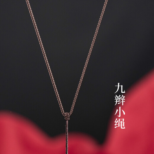 Mengyi 2mm fine soft jade pendant lanyard for women and men necklace rope adjustable jade pendant rope nine braid rope full coffee adjustable plain rope style