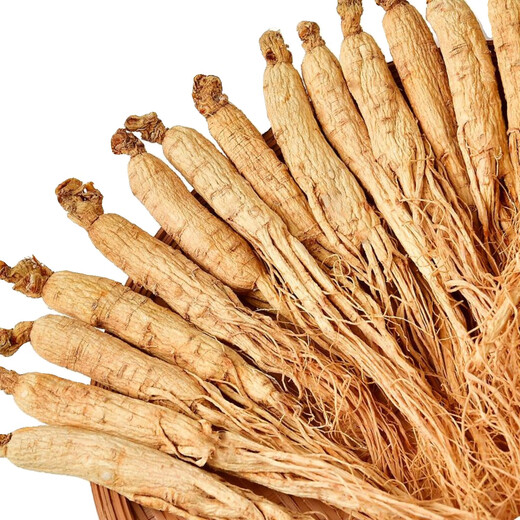 Kompendium des Cinnamomum Changbai Mountain getrockneter Ginseng White Ginseng 10-jährige Ginseng Prauning ausgewählte Wildginseng Nordost-Spezialitätengewinnung gewonnener Wein und Suppengarten Ginseng ausgewählt Changbai Mountain Wild Ginseng ausgewählt 10-jährige Ginseng [50 Gramm] etwa 5