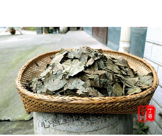 有仁堂青钱柳茶 百年古树青钱柳养生茶成叶茶 金钱柳 成叶青钱柳500克