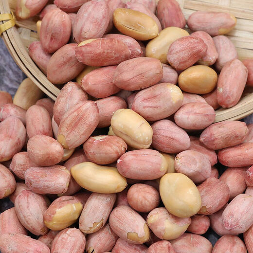 Guanyu Obst Fünf-Gewürz-Erdnüsse Anhui Wuwei Spezialität Yanqiao Nüsse und Snacks in Taschen Wein und Gemüse 105 g*10 Gesamt 1050g