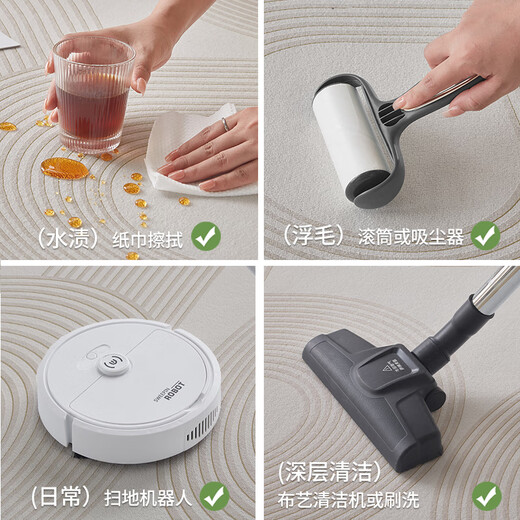 布迪思地毯卧室大面积满铺家用客厅毯沙发茶几轻奢防滑毯简约可定制地毯 现代6210【加厚圈绒】 240*300CM