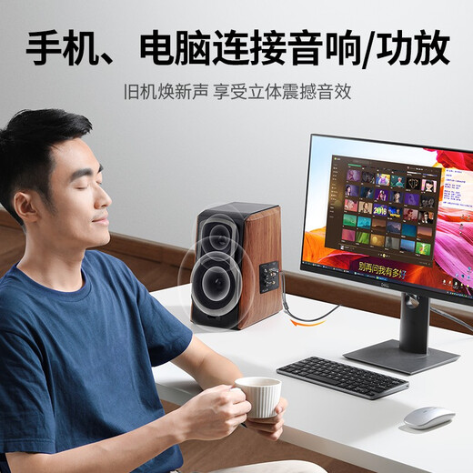 Greenlink 3,5 mm auf doppeltes Lotuskopf-Audiokabel, halb rot und weiß, 2RCA-Verbindungskabel, Mobiltelefon, Computer, TV-Anschluss, Audiobox, Verstärker, Konvertierungskabel, 3 Meter, 10512