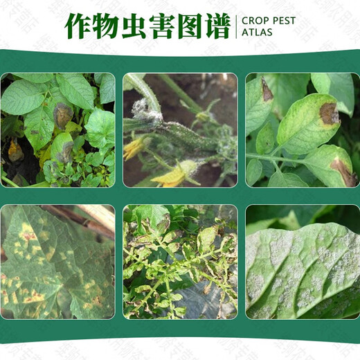Hulian Plant Protection 40% Dimethomorph Suspending Agent Grape and Cucumber Downy Mildew Fungicide 500g*1 bottle
