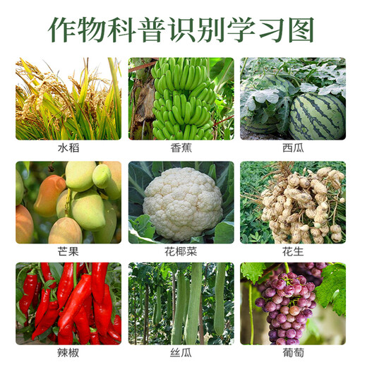 Hulian Plant Protection 430g/L Tebuconazole Powdery Mildew Special Drug Wheat Vegetable Fruit Tree Rust Dry Rot Pesticide Broad Spectrum Fungicide