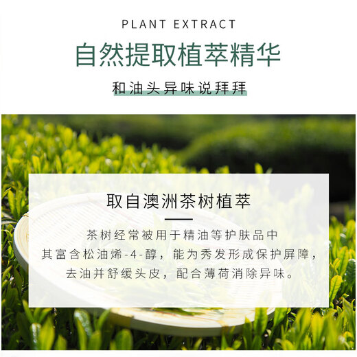 美体小铺（The Body Shop）茶树洗发水400ml蓬松控油 清爽洁净洗头膏