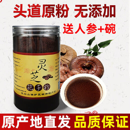 
Beijing Tongrentang [Official Authentic] Ganoderma lucidum spore powder Changbaishan Jilin specialty Toudaoji [Flagship Quality] 250g [Blue hat broken wall spore powder] Give 1 Ganoderma lucidum