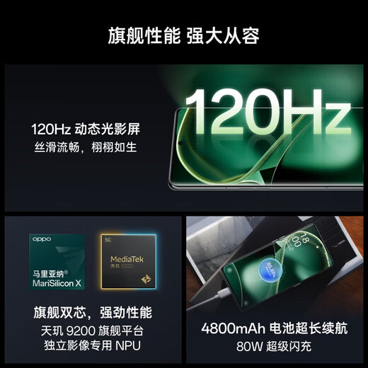 OPPO Find X6 超光影三主摄 哈苏影像 天玑9200旗舰芯片 5G拍照手机  二手手机 飞泉绿【x6】 99新 12GB+256GB【赠闪充充电器】 99新