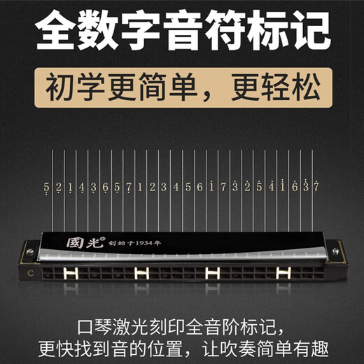 Guoguang harmonique à 24 trous Polyphonique C-Tune débutants et enfants Introducteurs Adultes 24-Hole Stress Professional Instrument Instrument Polyphonic Blue + Hole Blue + Tutoriel