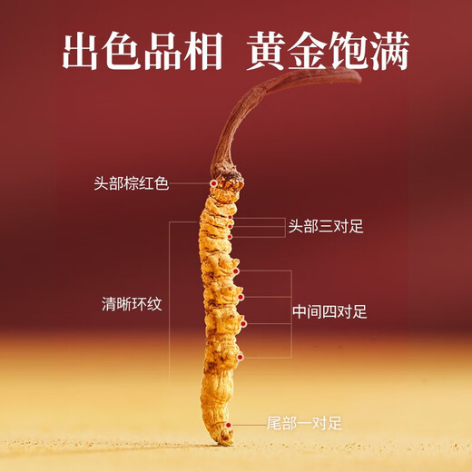 余仁生 冬虫夏草 干虫草约3-4根/克35#2g 约7根 洁净饱满 礼品节日送礼