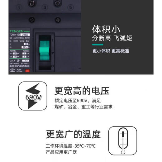 天正电气TENGENTGM1N 塑壳断路器总闸开关100A12250A400A63 TGM1N-400L/3300350A