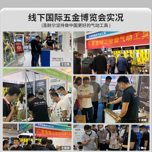 圣耐尔 台湾气动打磨机工业级风磨笔小型高速玉石雕刻磨抛光机打磨笔 S-6636精密款 羊毛套装 送60件套