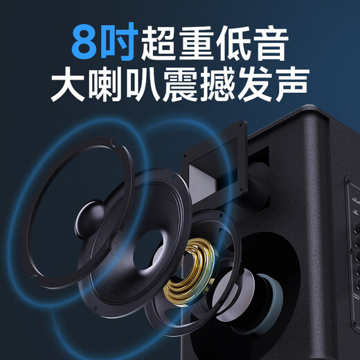 SANSUI TE12 outdoor performance high-power subwoofer mobile trolley K singing singing all-in-one machine Bluetooth speaker with wireless microphone portable square dance speaker SANSUI TE06 high-power 8-inch bass + single microphone