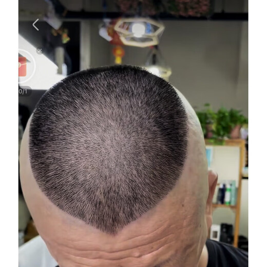 Jin Jinyangs eigenes Haarschnitt Haarschimmel Guo Degangs Erwachsener Frisur Guo Degangs Pfirsich Herz Kurzhaar -Rasierassistent Guo Degang 1416 cm