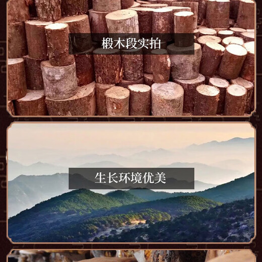 长白山有机灵芝孢子粉有机认证头道孢子粉250克500克1000克 高品质灵芝孢子粉【250克】