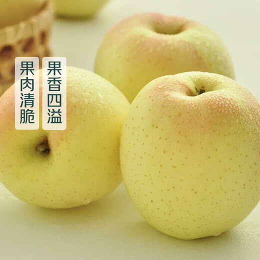 Xinjiang Wanglin Apple 4-6 pieces 1kg